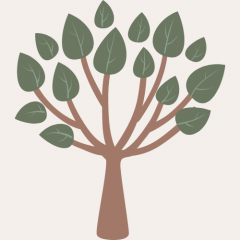 Domenica Rafferty, LPC